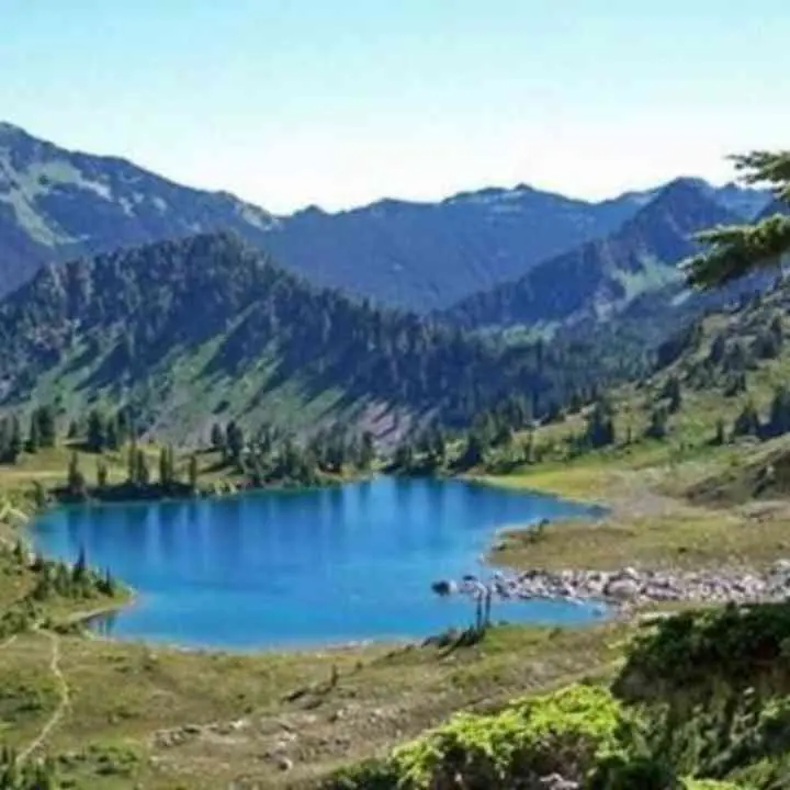 Escursioni in Sila: un viaggio tra la natura e i sapori tradizionali
