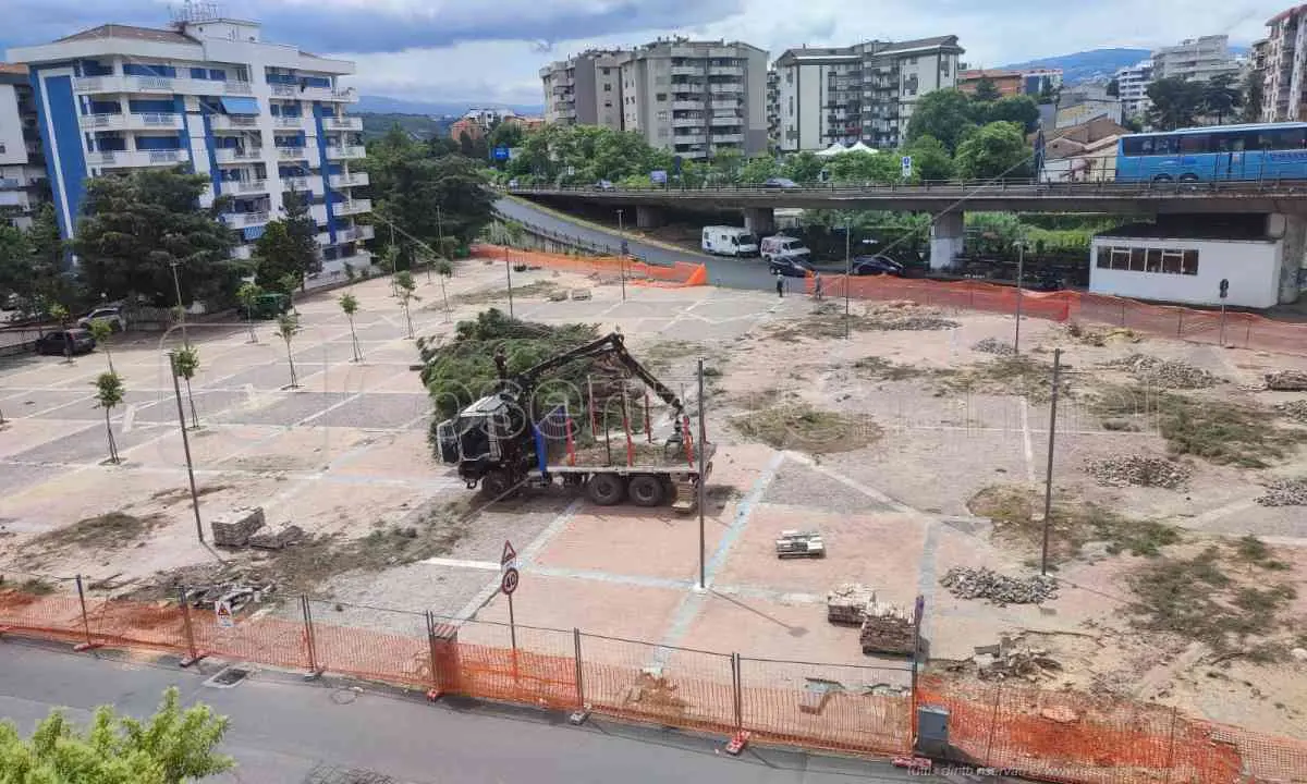 Rende, motoseghe in azione a piazza De Vincenti: gli alberi sacrificati al nuovo look | FOTO