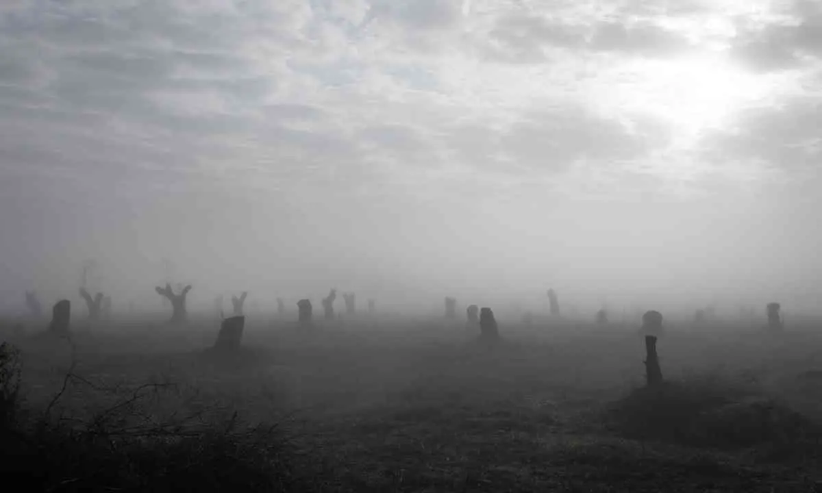 Fotografia Calabria Festival, annunciati i vincitori del concorso