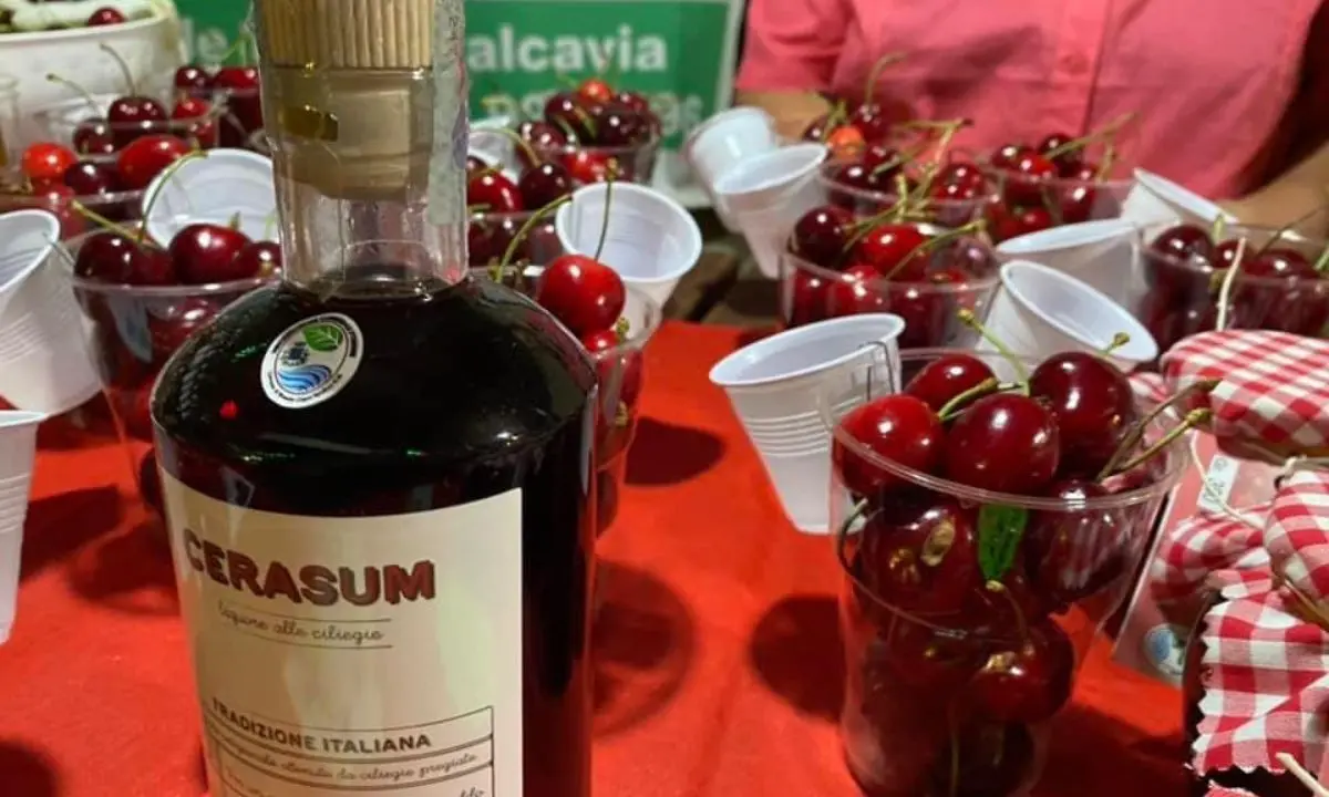 Roseto Capo Spulico celebra la sua Regina in rosso: ecco la decima edizione della Festa delle Ciliegie