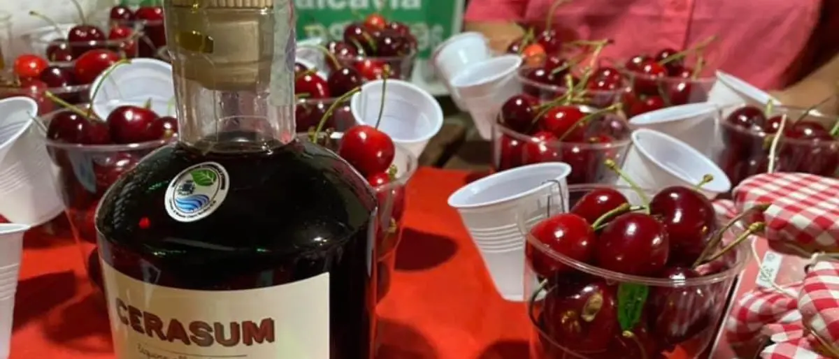 Roseto Capo Spulico celebra la sua Regina in rosso: ecco la decima edizione della Festa delle Ciliegie