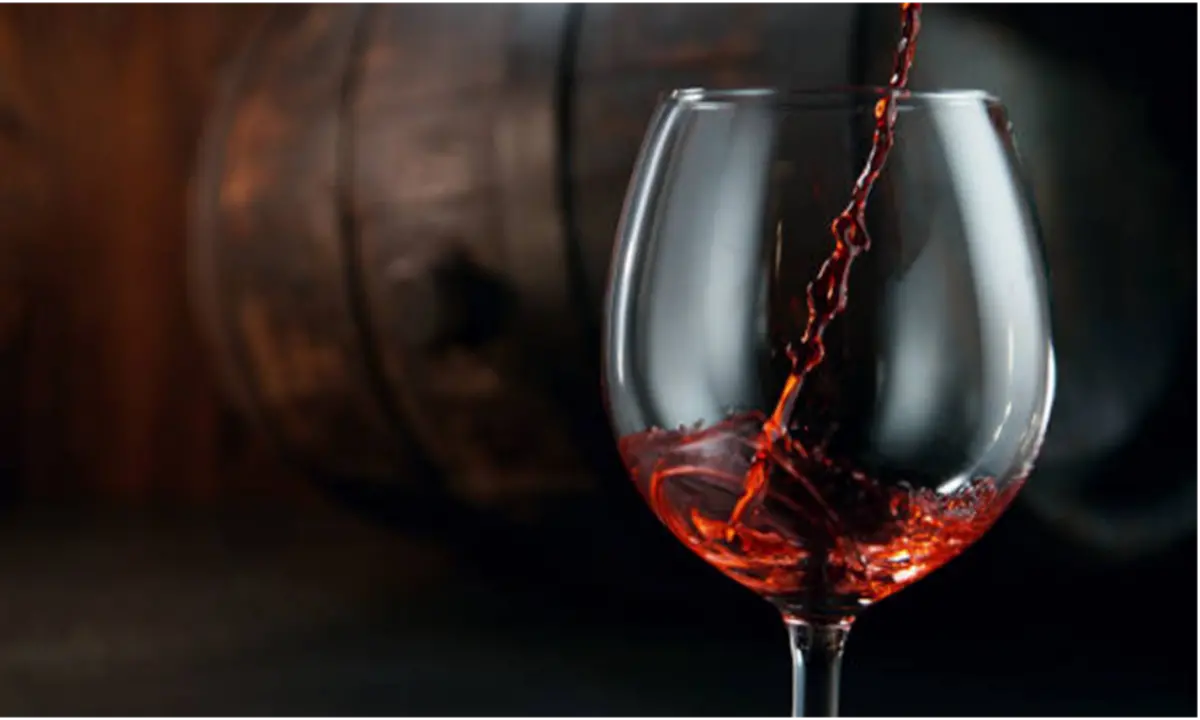 Vino da amare, kermesse enogastronomica a San Nicola Arcella