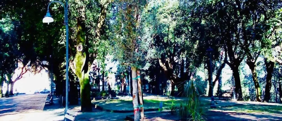 Il Quarto Anniversario di Impulse Movement: musica, arte e intrattenimento a Cosenza