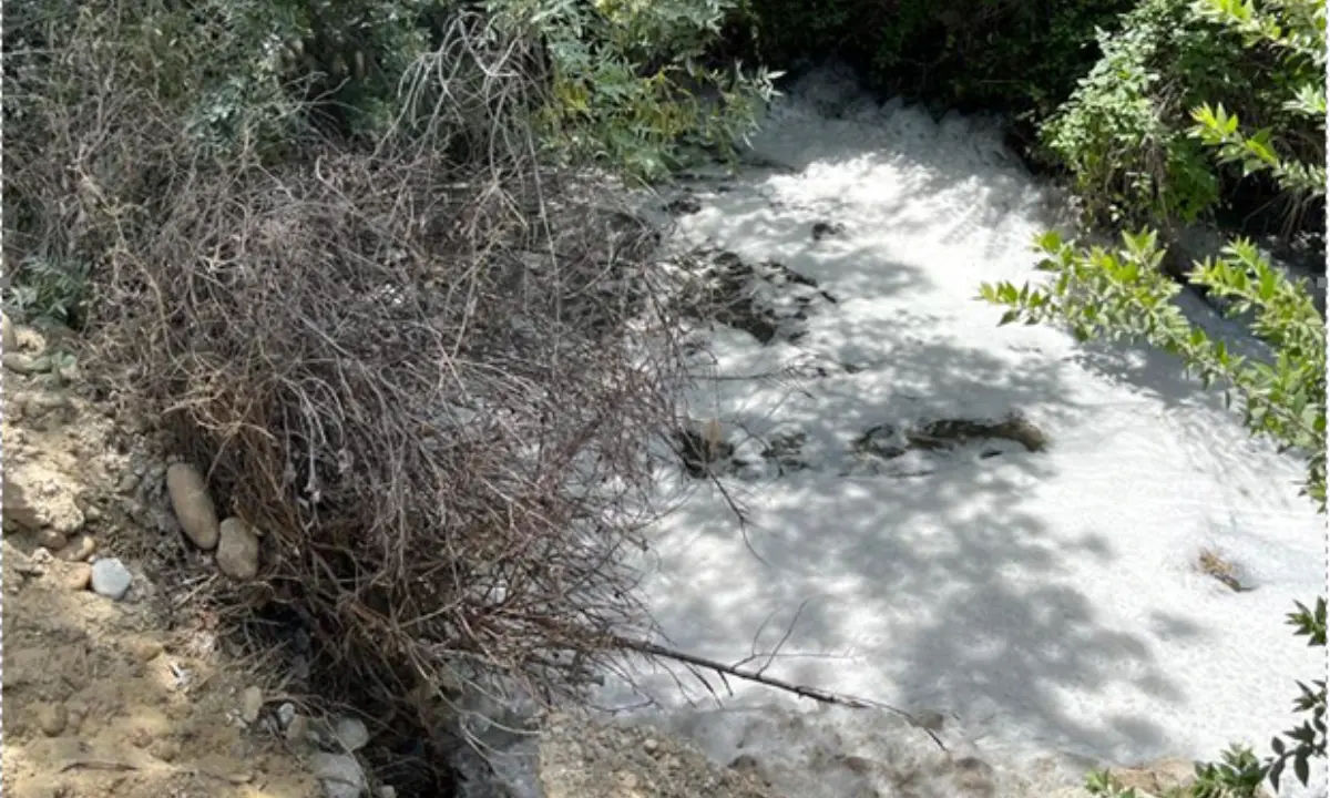 Discarica di Scala Coeli, Legambiente: «Nello \"Stato di Pipino\" tutto è possibile...»