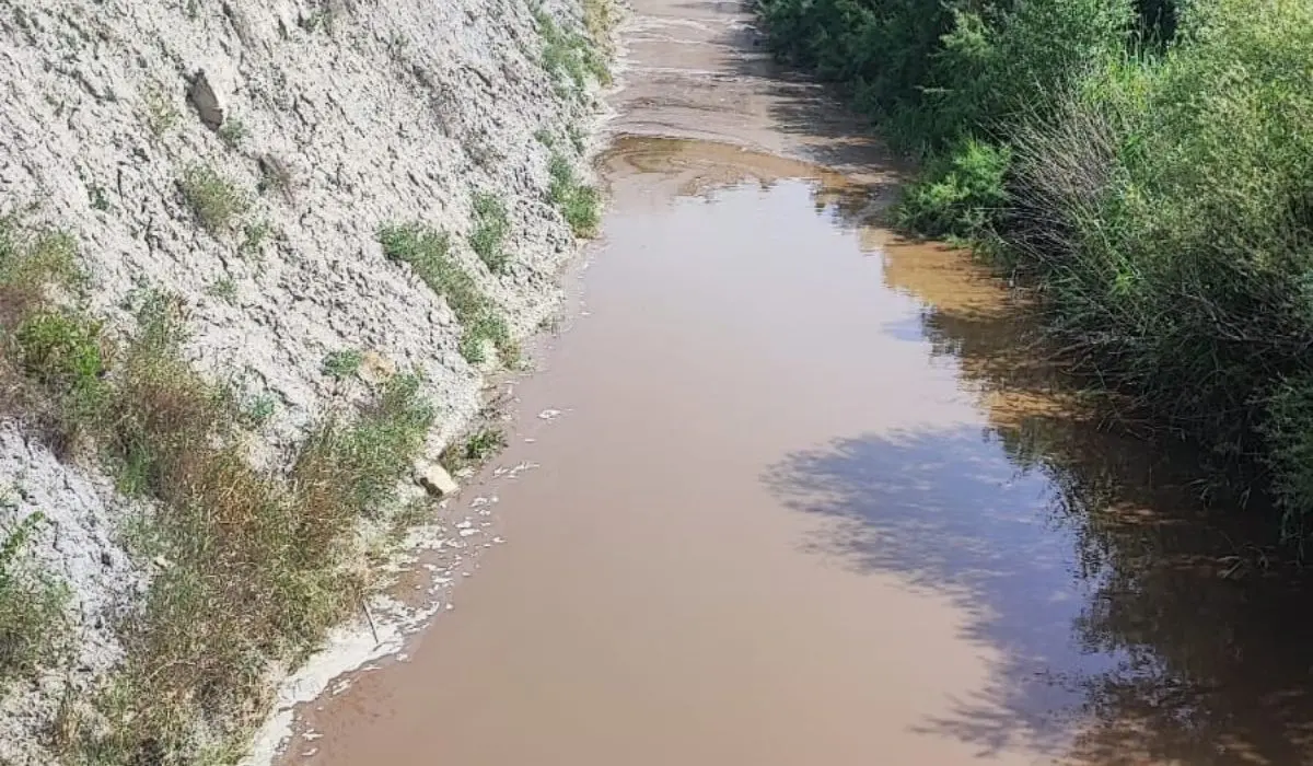 Discarica di Scala Coeli, Aceto (Coldiretti): «Bomba ecologica, ecco cosa fare»