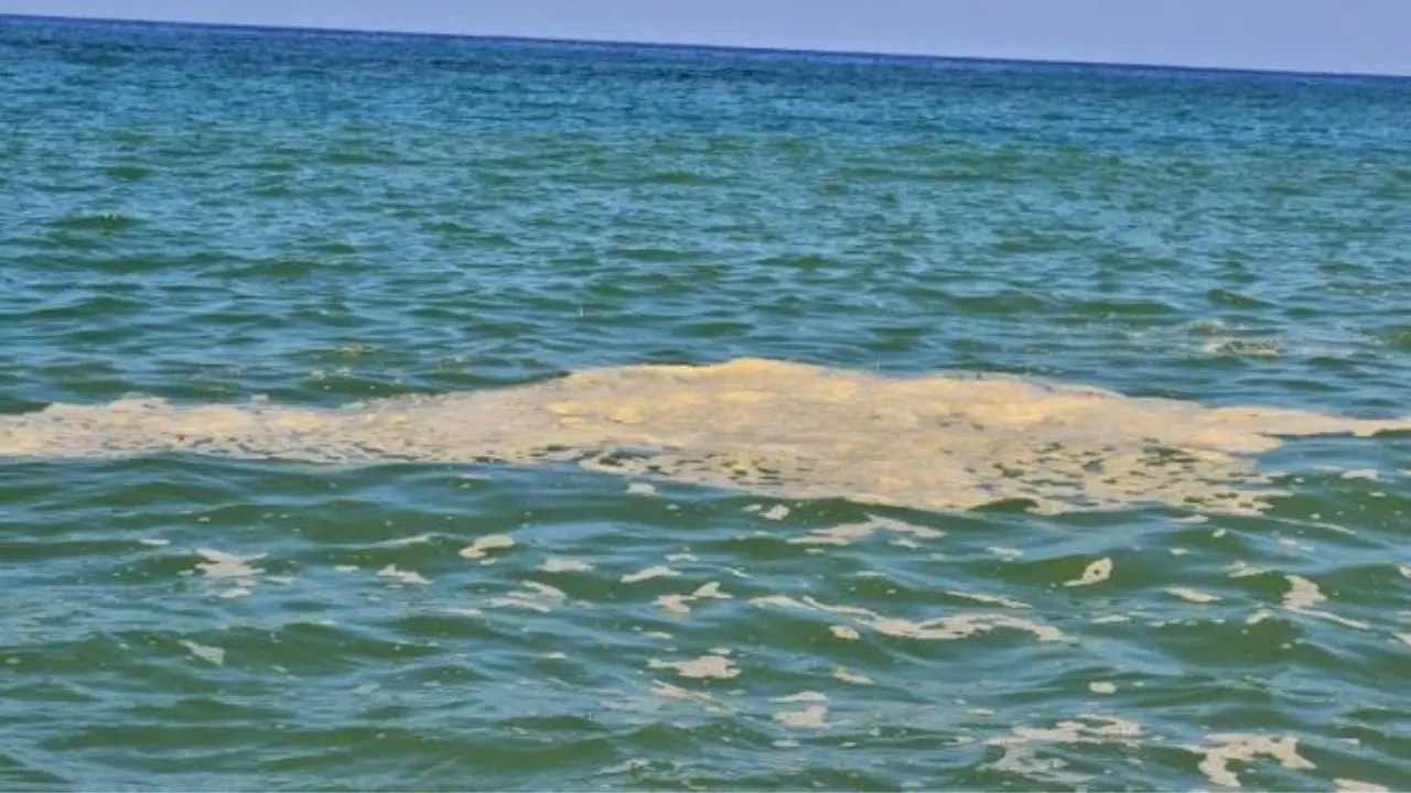 Mare sporco, dal tirreno cosentino centinaia di segnalazioni: «Impossibile fare il bagno»