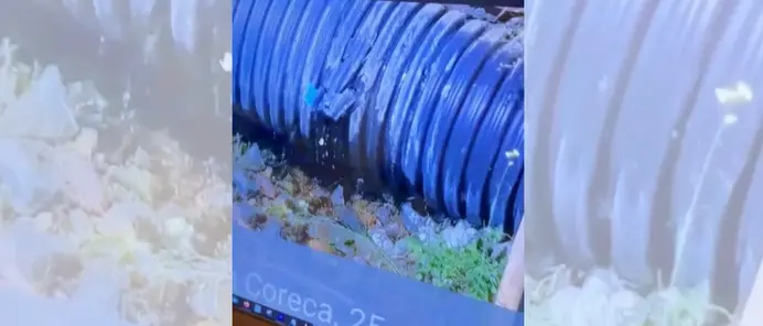 Mare sporco, la rabbia di Occhiuto: «Colpa dei comuni» e mostra uno scarico a Coreca