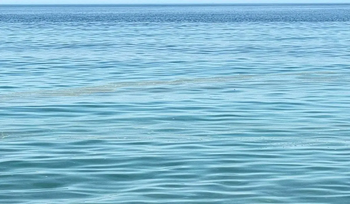 Mare sporco, a Corigliano Rossano le polemiche impazzano sui social
