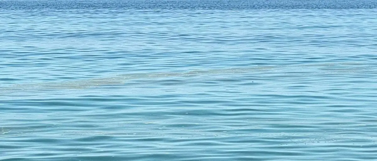 Mare sporco, a Corigliano Rossano le polemiche impazzano sui social