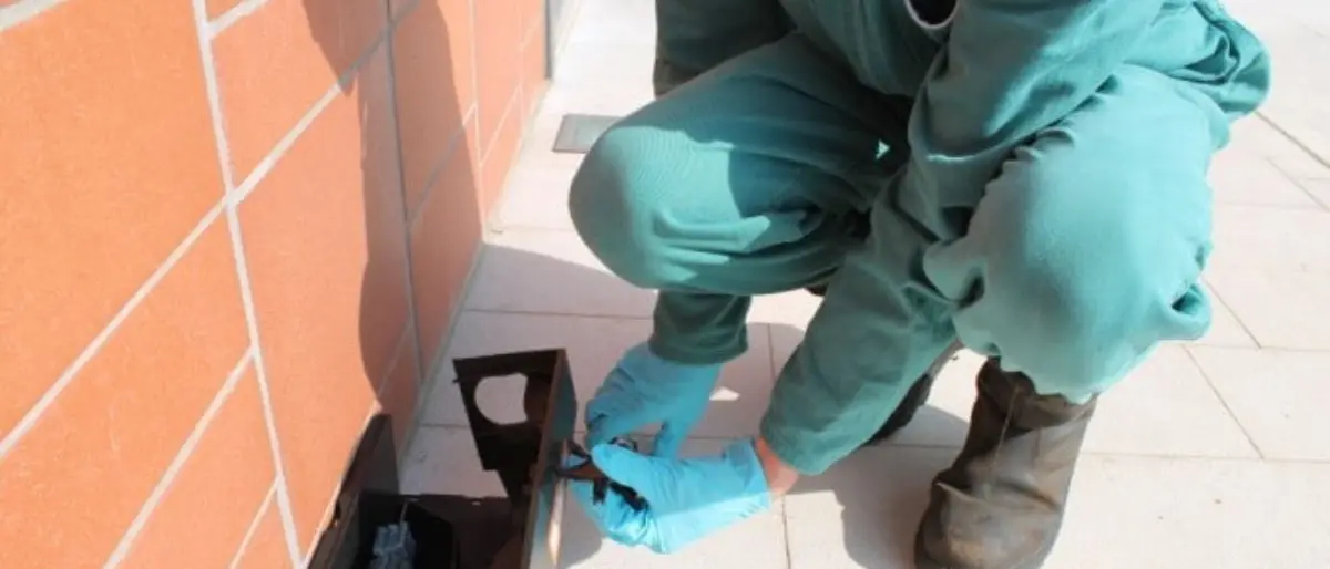 Corigliano Rossano, iniziata la derattizzazione in tutto il territorio