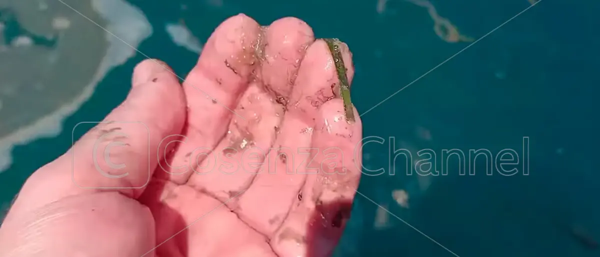 Mare sporco a Corigliano Rossano? Stasi: «Dai dati il nostro mare è tra i più puliti del Sud»