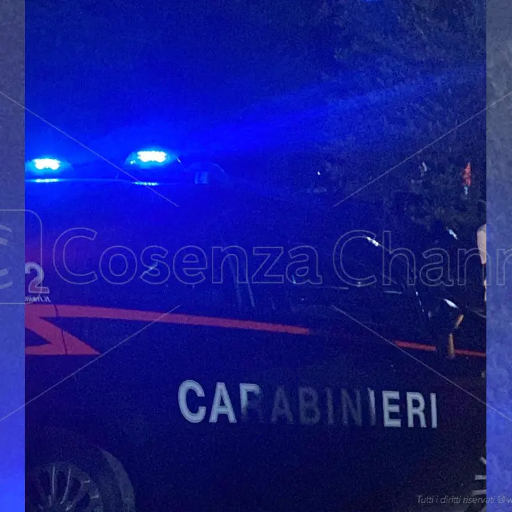 Droga, operazione dei Carabinieri tra Cosenza e la Sicilia. 14 misure cautelari