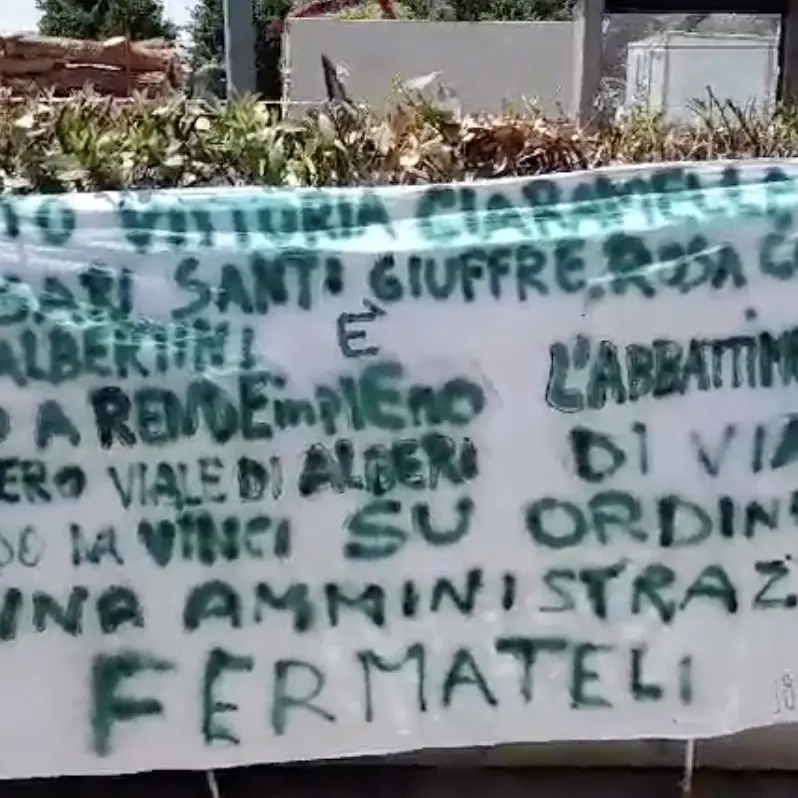 \"Strage\" di alberi a Rende, i residenti chiedono l'aiuto del Prefetto. I Riformisti: «Fermate questo scempio»