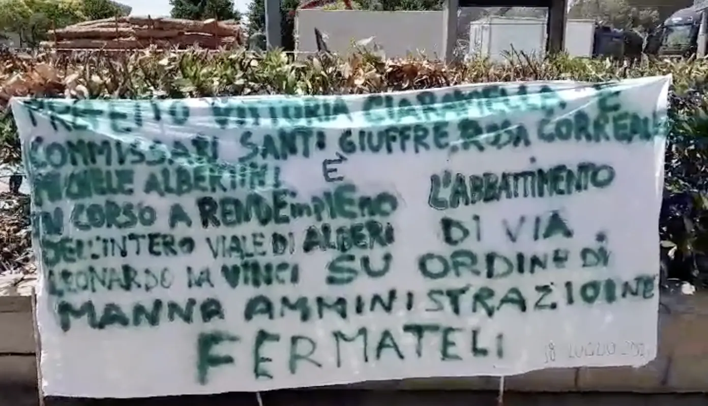 \"Strage\" di alberi a Rende, i residenti chiedono l'aiuto del Prefetto. I Riformisti: «Fermate questo scempio»