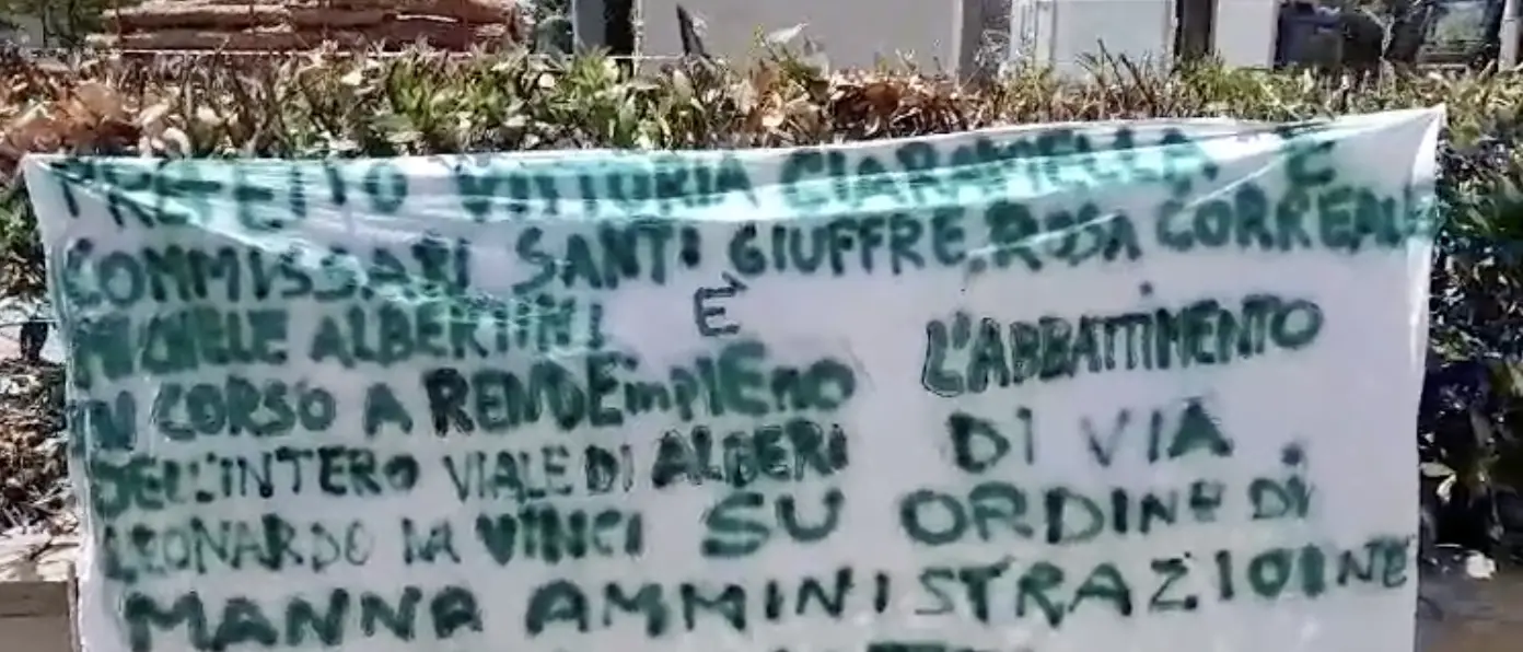 \"Strage\" di alberi a Rende, i residenti chiedono l'aiuto del Prefetto. I Riformisti: «Fermate questo scempio»