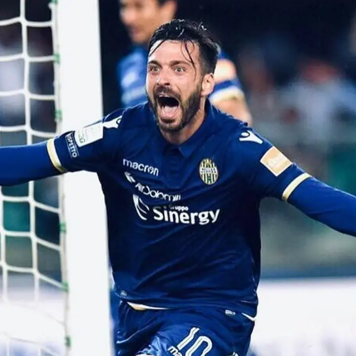 Cosenza grandi firme: Sgarbi, Di Carmine, Improta e Viviani