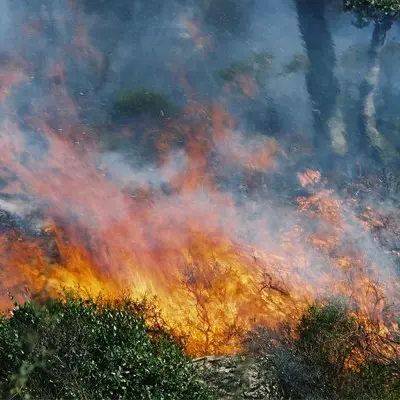 Dopo i roghi incombe il rischio frane: ecco la lista dei comuni \"in pericolo\"