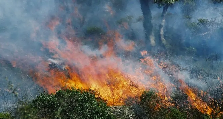 Dopo i roghi incombe il rischio frane: ecco la lista dei comuni \"in pericolo\"