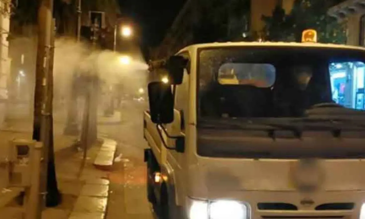 Cosenza, al via gli interventi di disinfestazione e derattizzazione