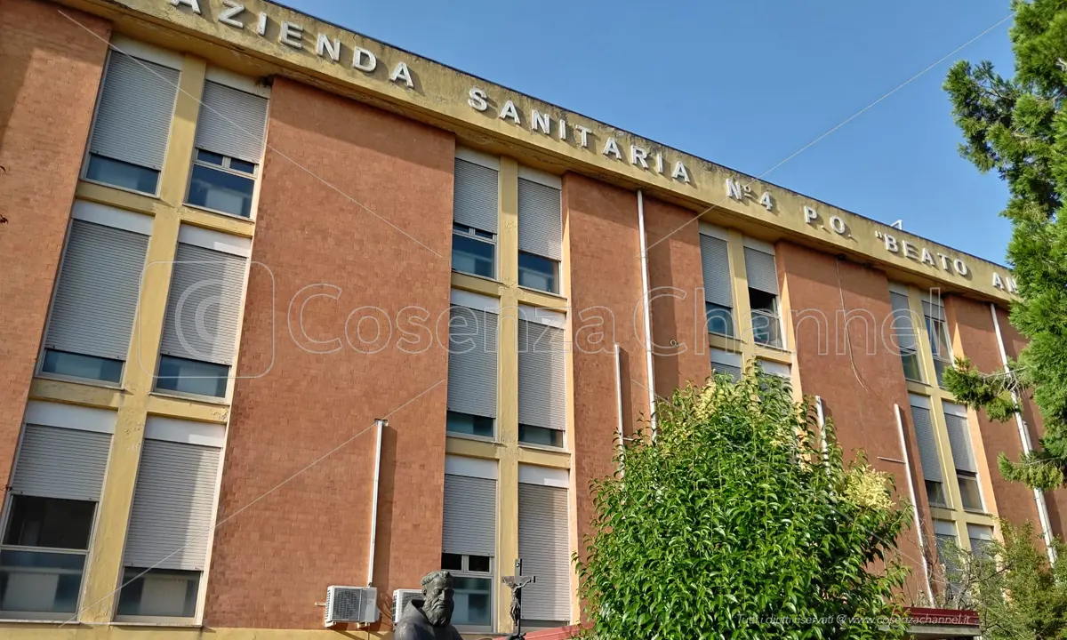 Acri, Forza Italia: «La passerella di Capalbo in Regione è una strumentalizzazione»