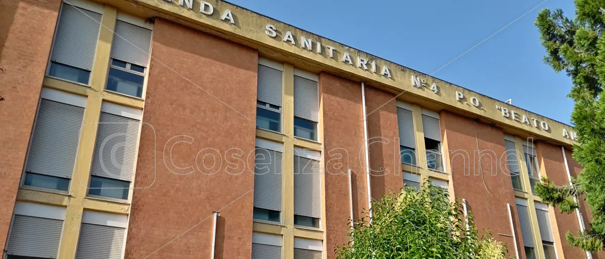 Acri, Forza Italia: «La passerella di Capalbo in Regione è una strumentalizzazione»