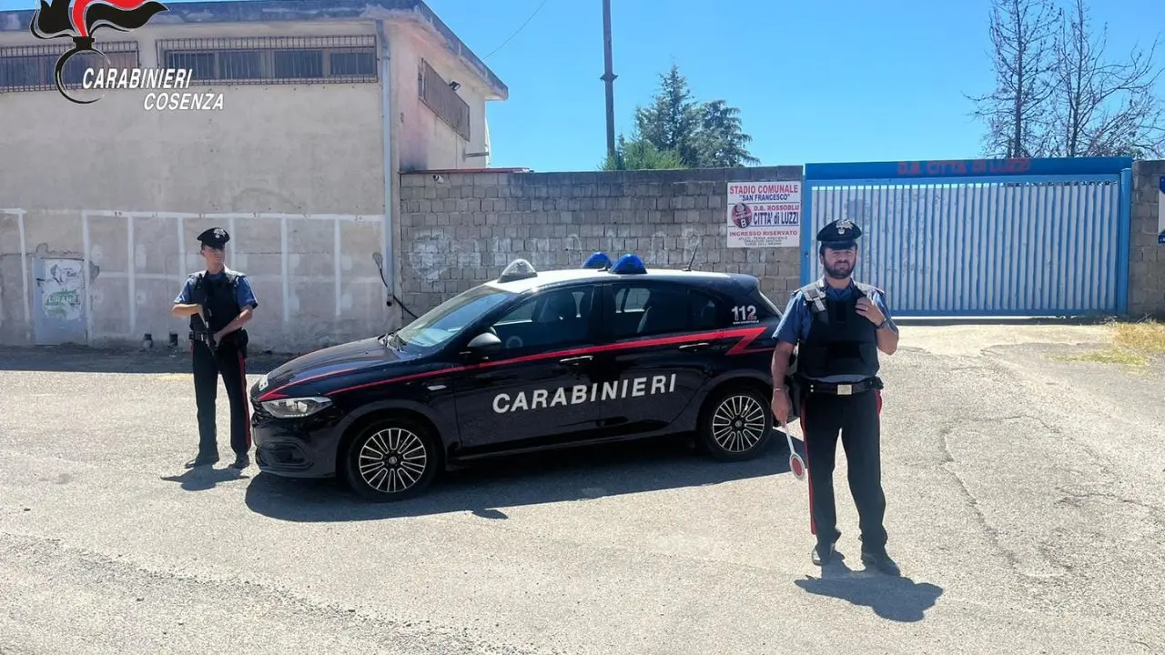 Ma quale buon esempio: tre dipendenti comunali di Luzzi denunciati per incendio di rifiuti