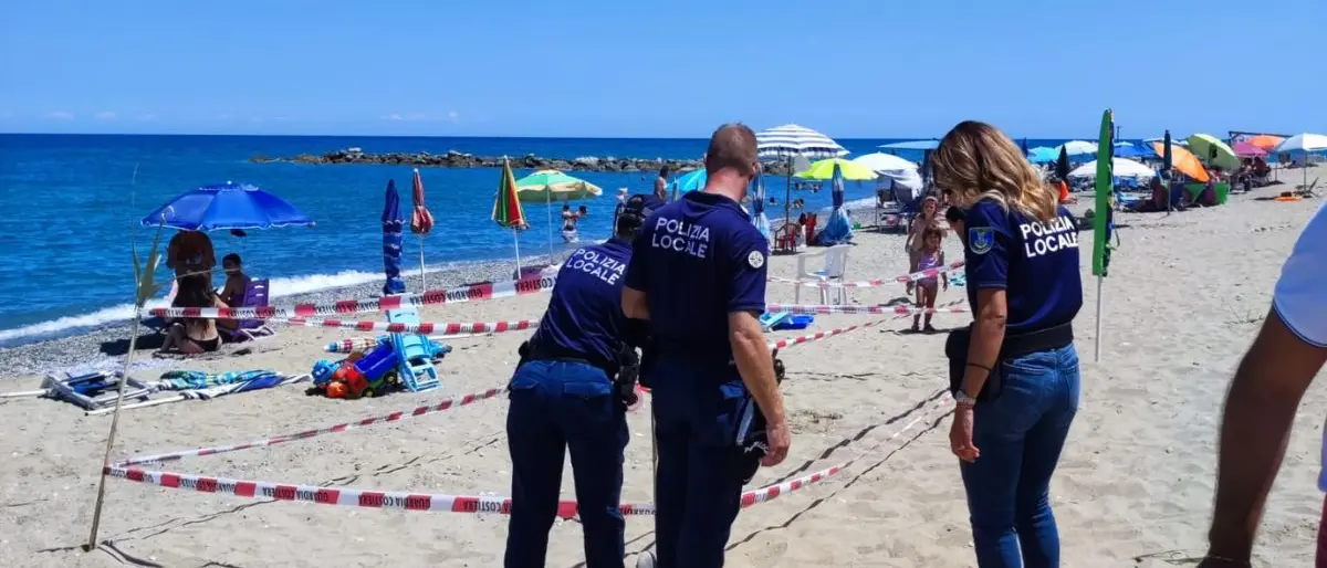 Cariati, \"Mamma tartaruga\" sceglie la spiaggia jonica per il suo nido