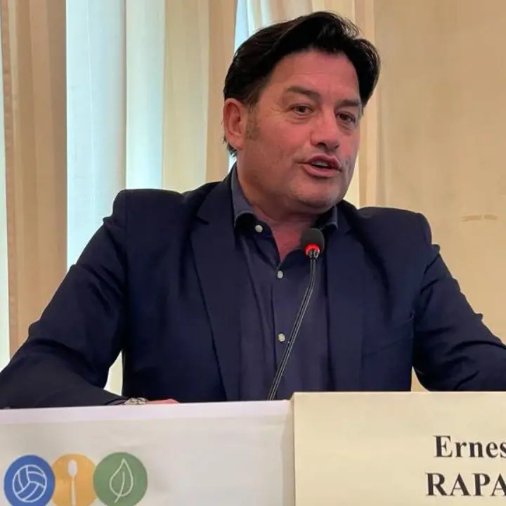 Dimensionamento scolastico, Rapani: «L’emendamento servirà alla Calabria»