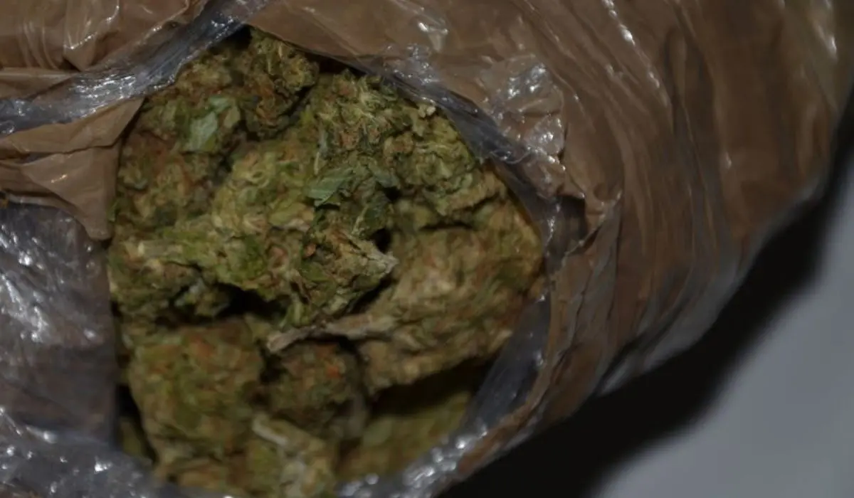 Quel chilo di marijuana trasportato da Rosarno a Cosenza: i retroscena