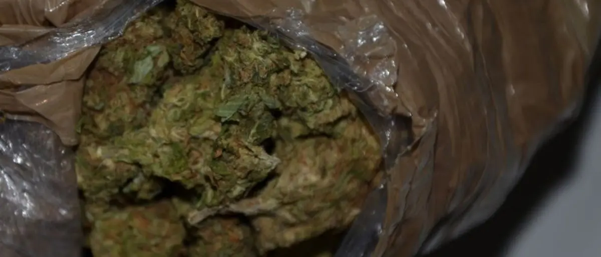 Quel chilo di marijuana trasportato da Rosarno a Cosenza: i retroscena