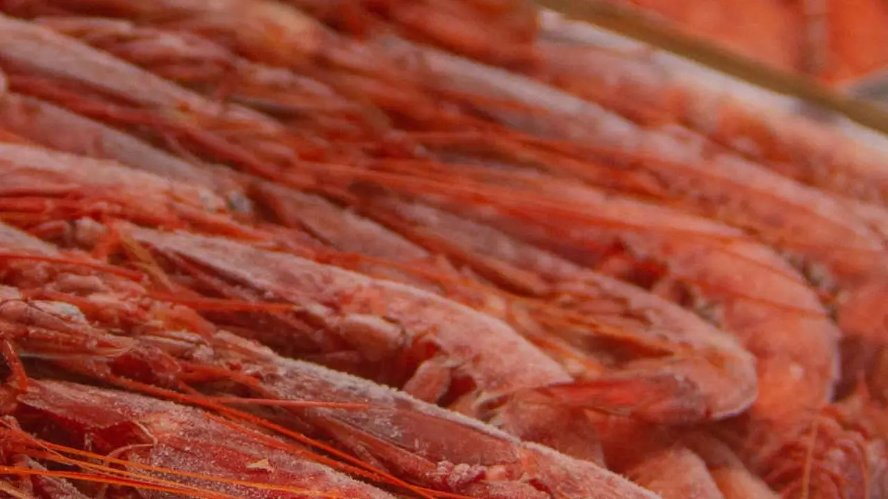Tutto pronto a Schiavonea per il primo festival del gambero rosso