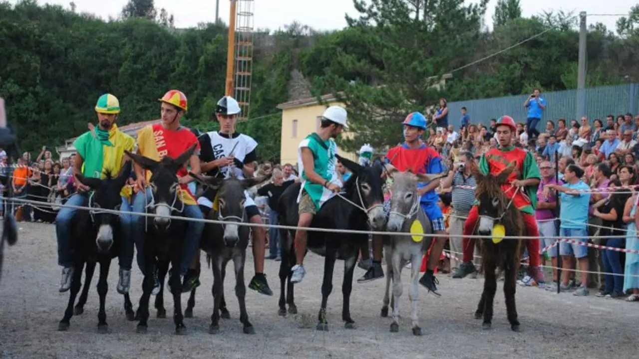 Laino Borgo, sei contrade si sfidano al \"Palio cu i ciucci\"