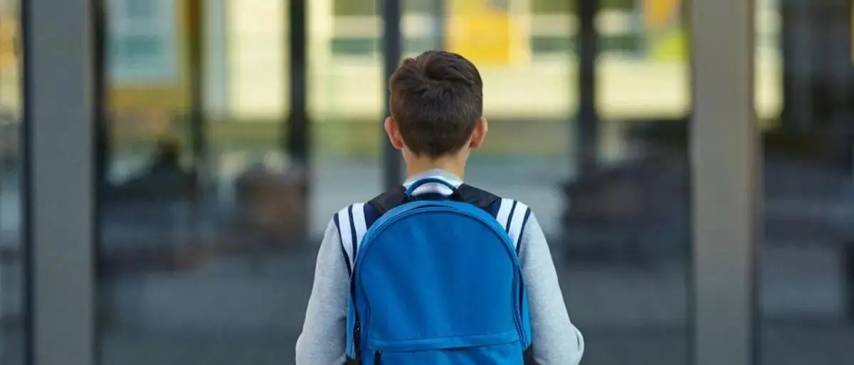 Cosenza, così tanti libri di scuola (praticamente nuovi) vanno perduti