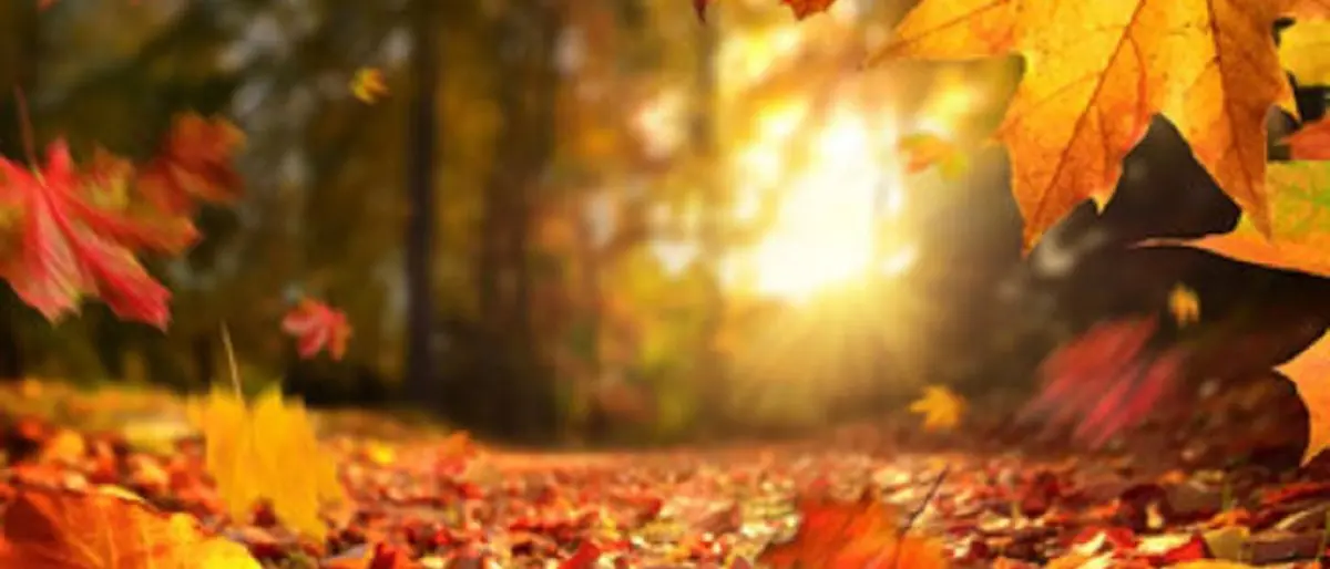 Meteo in Calabria, temperature in forte risalita