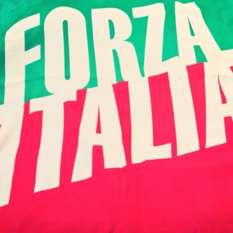 Centrodestra, Forza Italia alla Lega di Salvini: «Abbiamo le spalle larghe»