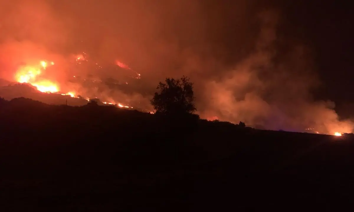 Inferno sul Pollino, domato dopo tre giorni il rovinoso incendio