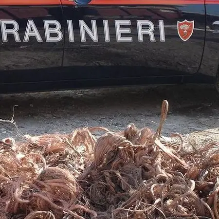 Pagavano merce con assegni rubati, arrestati due venditori ambulanti cosentini