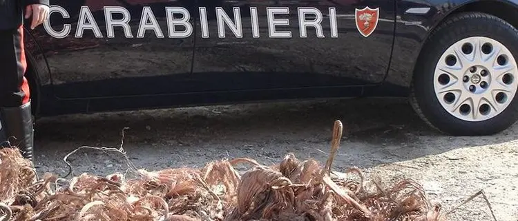 Pagavano merce con assegni rubati, arrestati due venditori ambulanti cosentini