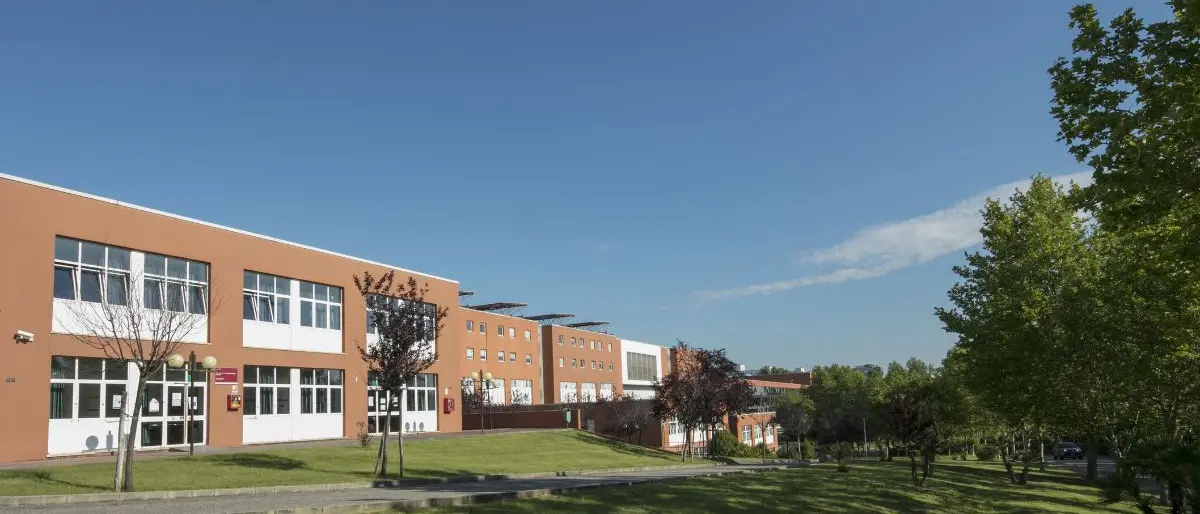 L’Unical assegna il premio di laurea a tutti gli idonei: un sostegno economico per 563 studenti