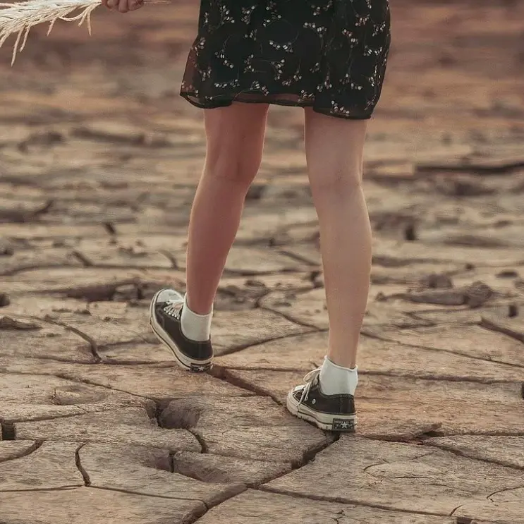 Un 2024 rovente: l’anno più caldo dal 1961. Calabria sotto stress tra temperature record e siccità prolungata