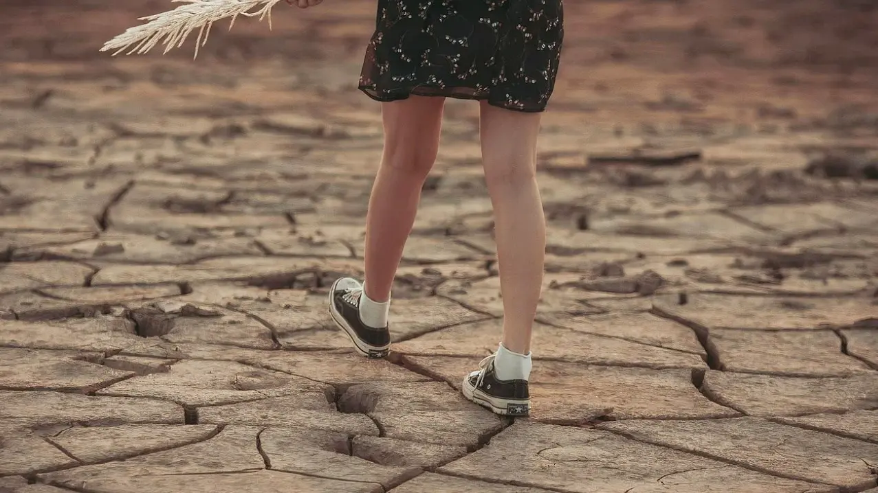 Un 2024 rovente: l’anno più caldo dal 1961. Calabria sotto stress tra temperature record e siccità prolungata