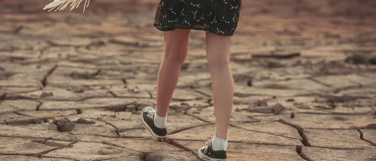 Un 2024 rovente: l’anno\u00A0più caldo dal 1961. Calabria sotto stress tra temperature record e siccità prolungata\n