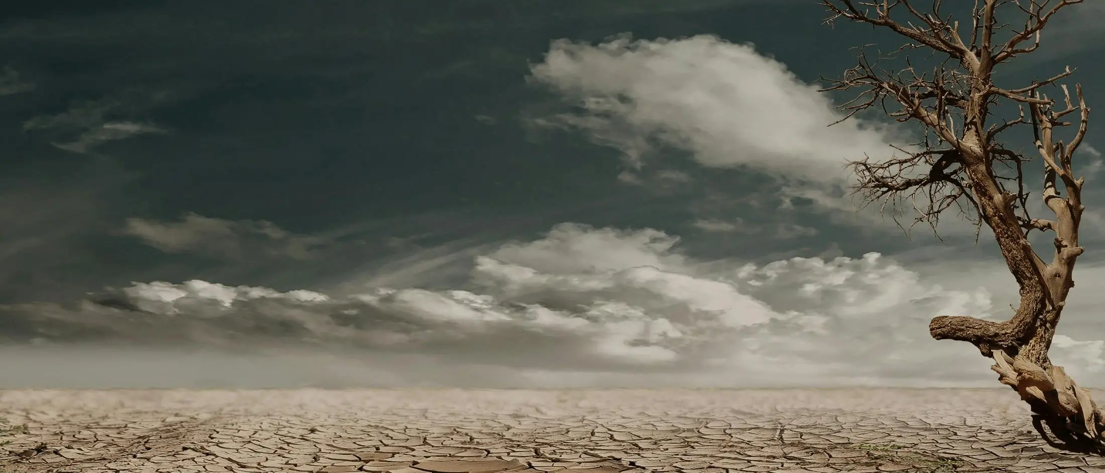 La scienza sotto attacco mentre l’ignoranza fa sistema: la verità sepolta sotto una valanga di sciocchezze\n