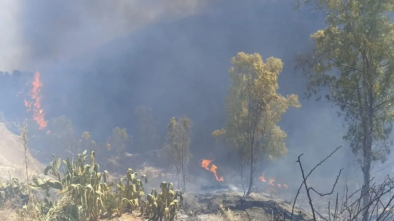 Emergenza incendi nel Cosentino