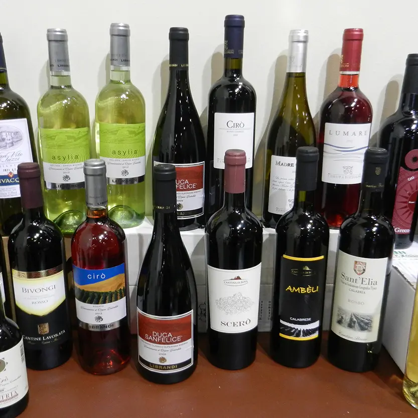 Il vino italiano (e quello calabrese) nel 2024: dai 659 milioni di bottiglie del Prosecco Doc ai 3,41 del Cirò Doc\n
