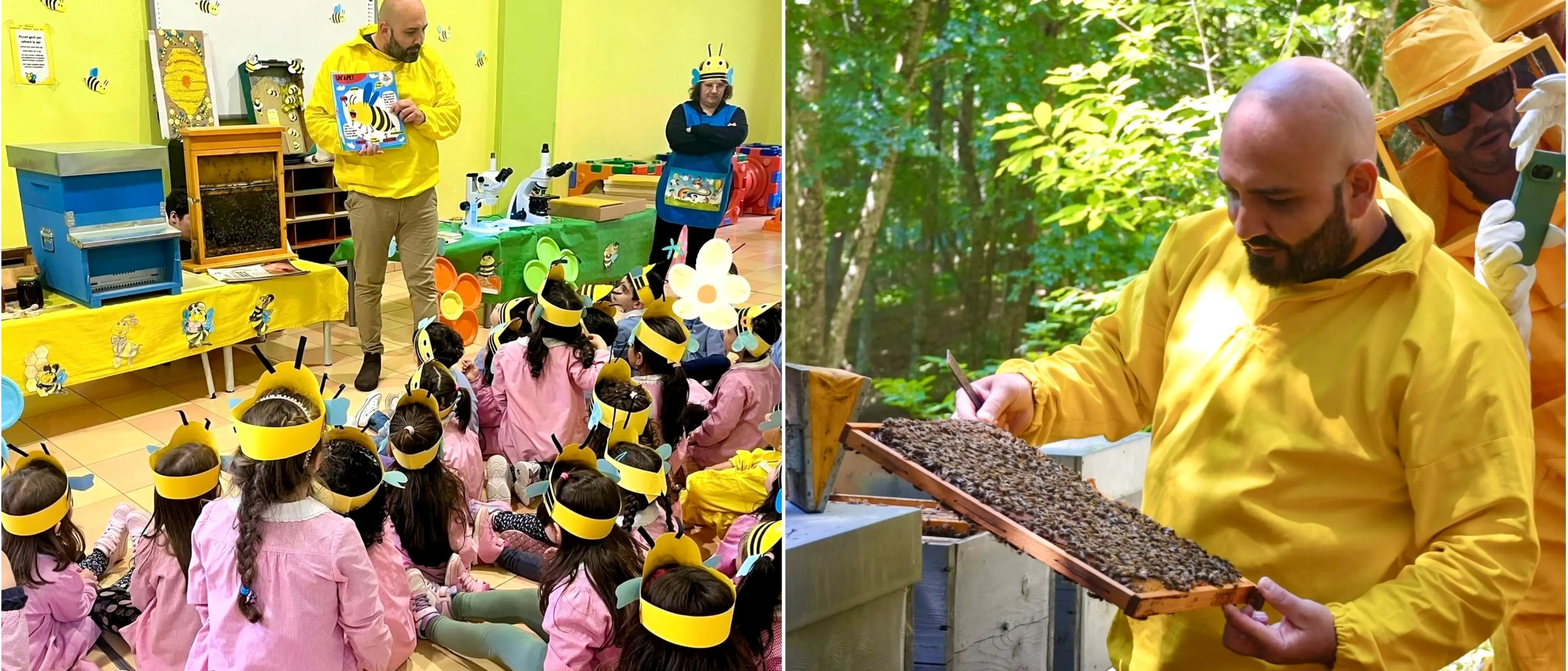 Il magico mondo delle api e il loro (fondamentale) contributo per l’ecosistema: «Non si lamentano mai e lavorano per il bene collettivo»\n