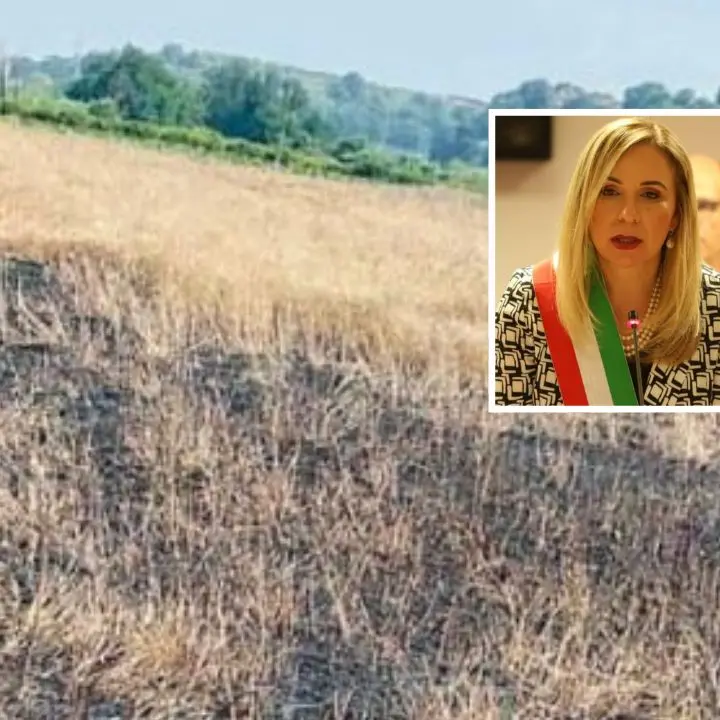 «Gioia Tauro è con voi» la solidarietà del sindaco Scarcella alla cooperativa Valle del Marro-Libera Terra\n
