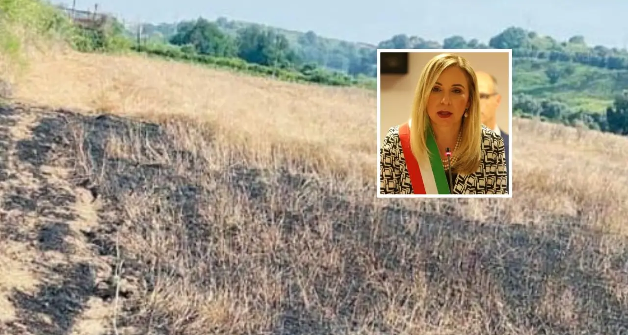 «Gioia Tauro è con voi» la solidarietà del sindaco Scarcella alla cooperativa Valle del Marro-Libera Terra\n