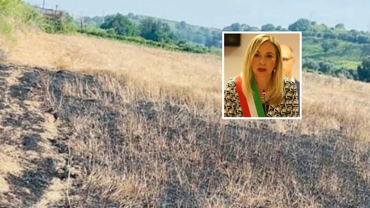 «Gioia Tauro è con voi» la solidarietà del sindaco Scarcella alla cooperativa Valle del Marro-Libera Terra\n