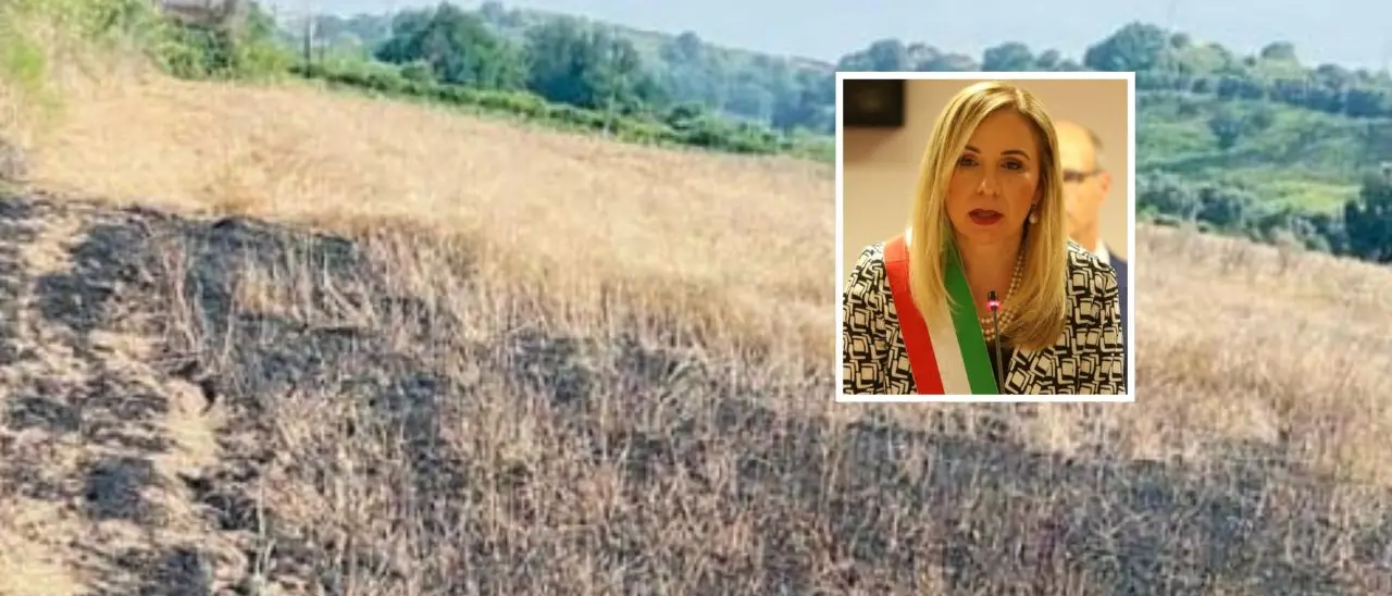 «Gioia Tauro è con voi» la solidarietà del sindaco Scarcella alla cooperativa Valle del Marro-Libera Terra\n